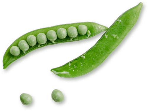 dietitian-96-1